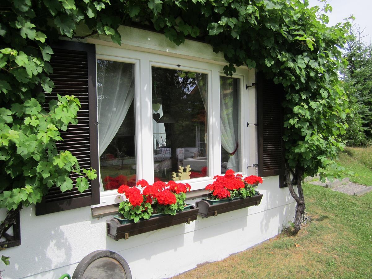 Apartamento Haus Holunder Weissbriach Exterior foto